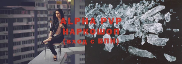 PSILOCYBIN Балахна