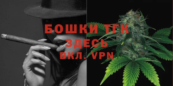 PSILOCYBIN Балахна