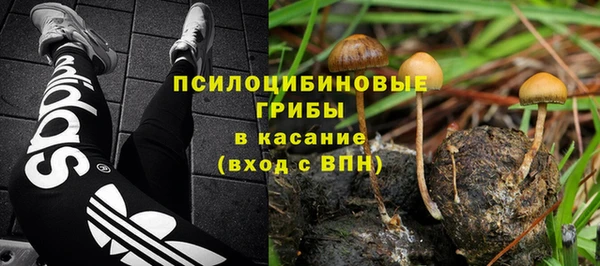 PSILOCYBIN Балахна